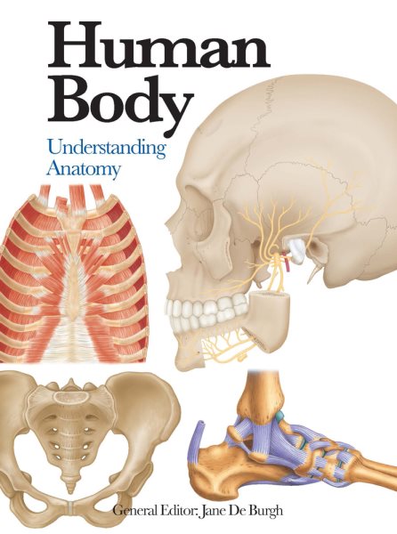 Human Body: Understanding Anatomy (Mini Encyclopedia) cover