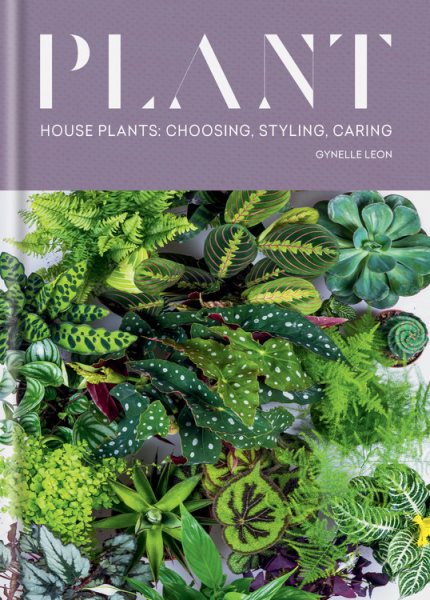 Plant: House plants: choosing, styling, caring cover