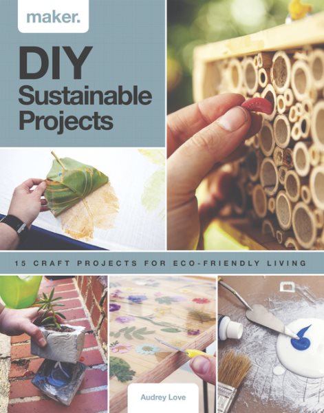 DIY Sustainable Projects: Fifteen step-by-step projects for eco-friendly living (Maker) cover