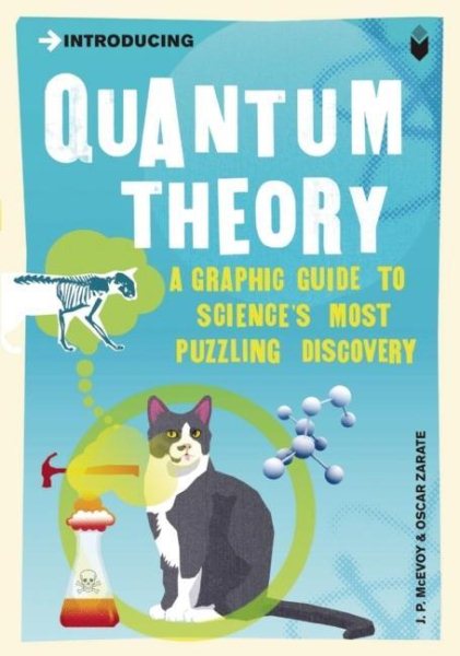 Introducing Quantum Theory: A Graphic Guide to Science's Most Puzzling Discovery cover