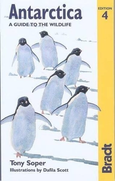 Antarctica: A Guide to the Wildlife, 4th (Bradt Guides) cover