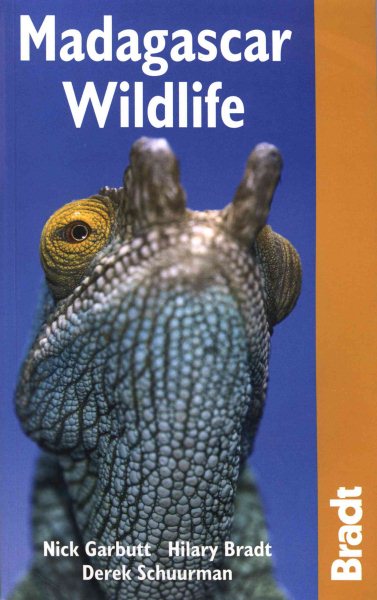 Madagascar Wildlife (Bradt Wildlife Guides) cover