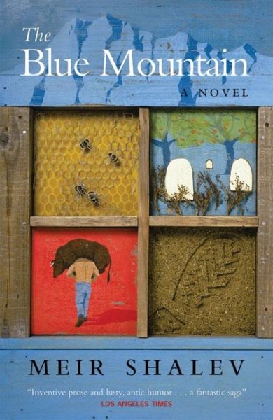 The Blue Mountain: A Novel cover
