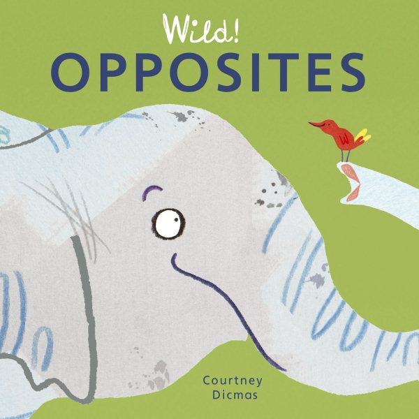 Wild! Opposites (Wild! Concepts) cover