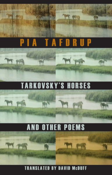 Tarkovsky's Horses and other poems