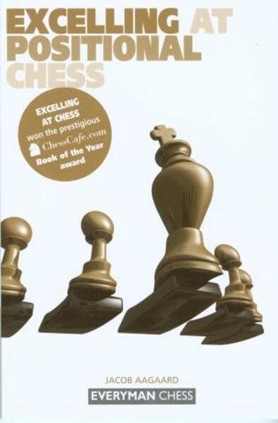 Excelling at Positional Chess (Everyman Chess) cover