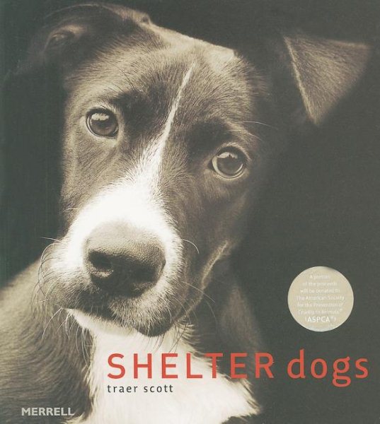 Shelter Dogs cover