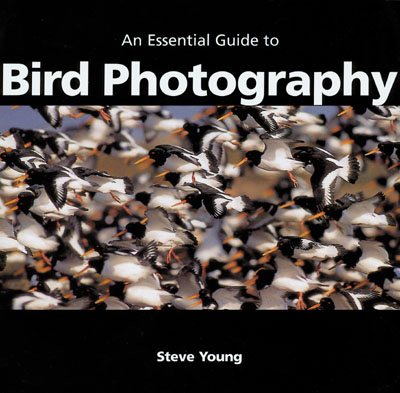 An Essential Guide to Bird Photography cover
