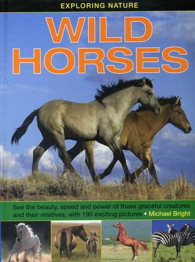 Exploring Nature: Wild Horses: See the beauty, speed and power of these graceful creatures and their relatives, with 190 exciting pictures