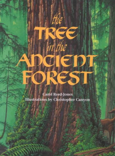 The Tree in the Ancient Forest cover