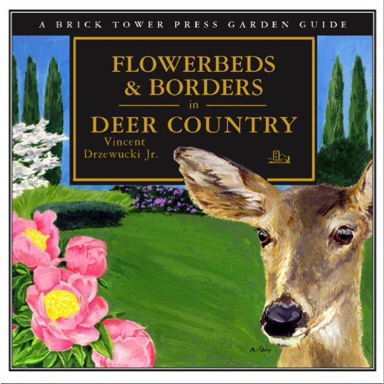 Flowerbeds & Borders in Deer Country