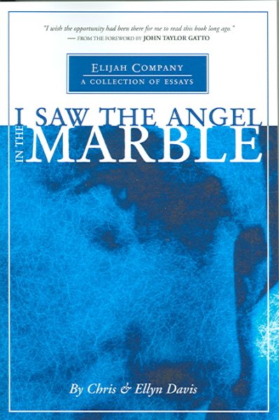 I Saw the Angel in the Marble cover