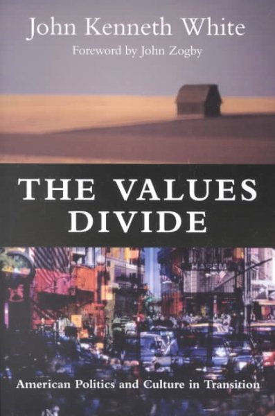 The Values Divide: American Politics and Culture in Transition cover