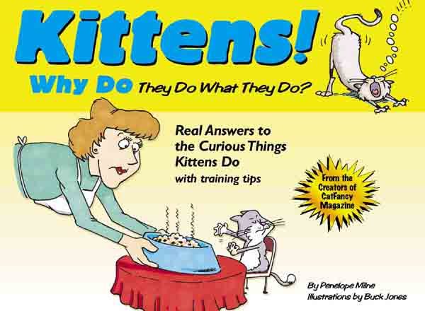 Kittens: Why They Do What They Do cover