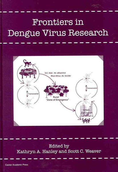 Frontiers in Dengue Virus Research cover