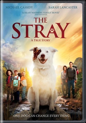 The Stray [DVD] cover