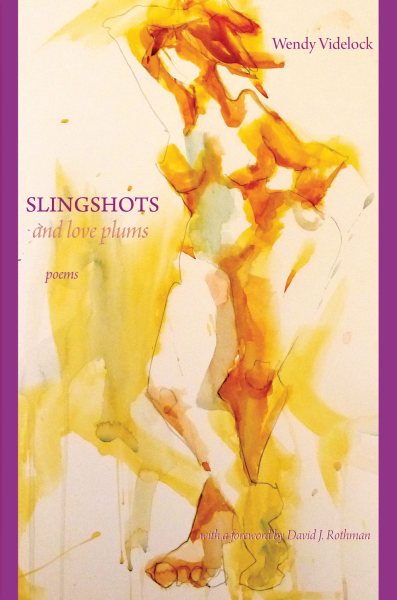 Slingshots and Love Plums cover