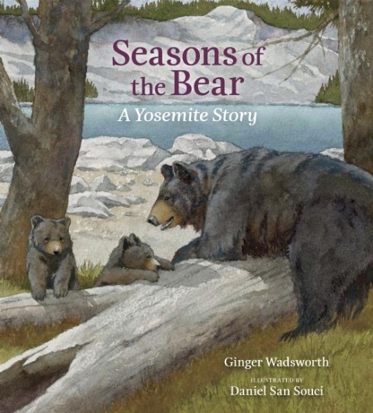 Seasons of the Bear: A Yosemite Story cover