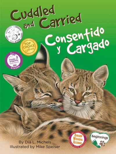 Cuddled and Carried / Consentido y Cargado: Stroller Bag Edition