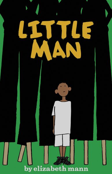 Little Man: A Novel cover