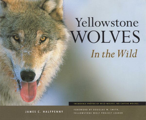 Yellowstone Wolves in the Wild cover