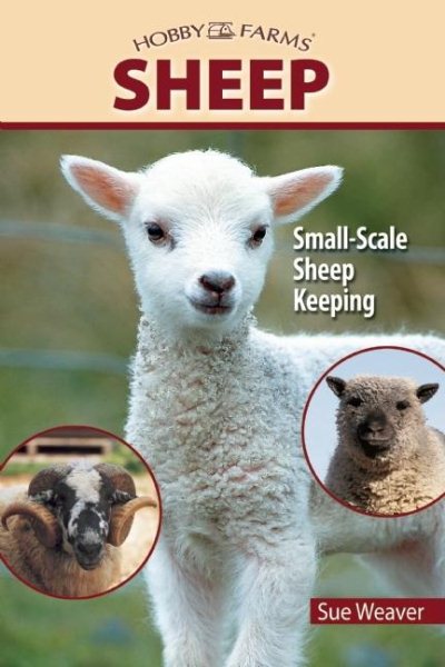 Sheep: Small-Scale Sheep Keeping For Pleasure And Profit (Hobby Farms) cover