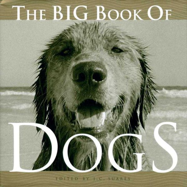 The Big Book of Dogs (Big Book of . . . (Welcome Books)) cover
