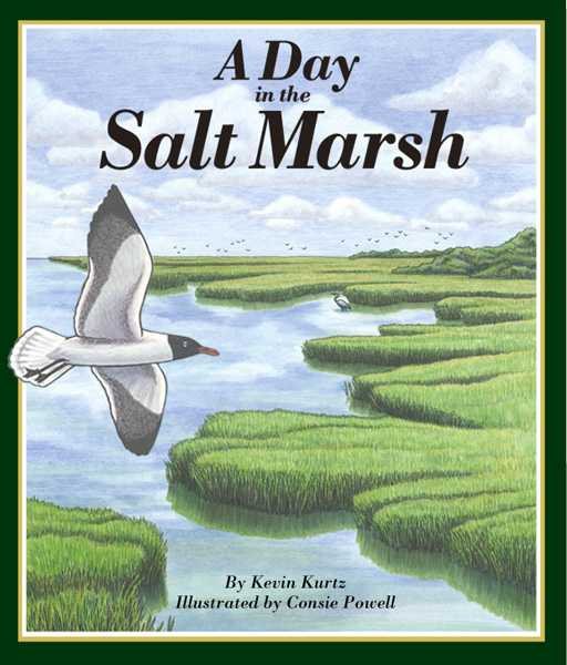 A Day in the Salt Marsh cover