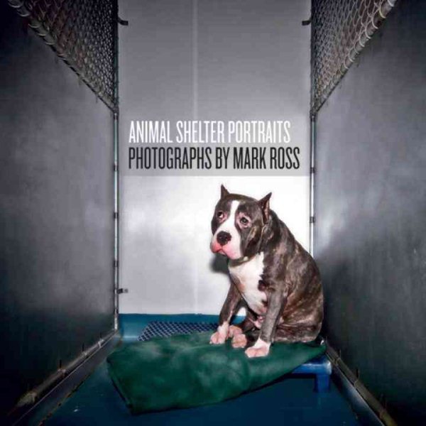 Animal Shelter Portraits cover