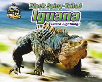 Black Spiny-Tailed Iguana: Lizard Lightning! (Blink of an Eye: Superfast Animals) cover