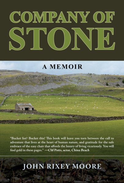 Company of Stone: A Memoir cover