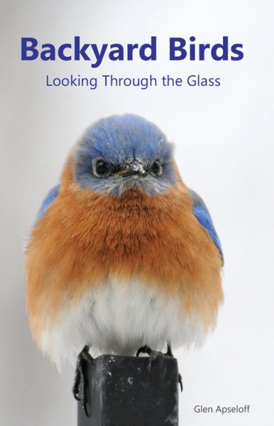 Backyard Birds: Looking Through the Glass cover