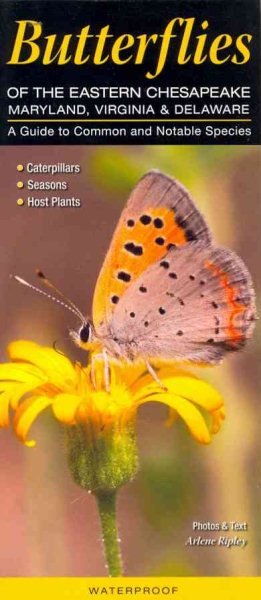 Butterflies of the Eastern Chesapeake: Maryland, Virginia & Delaware: A Guide to Common & Notable Species (Quick Reference Guides)