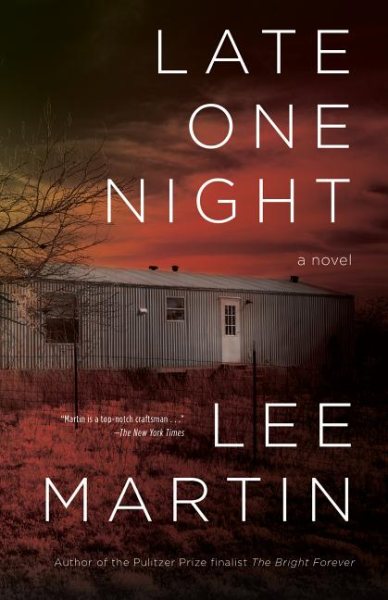 Late One Night: A Novel cover