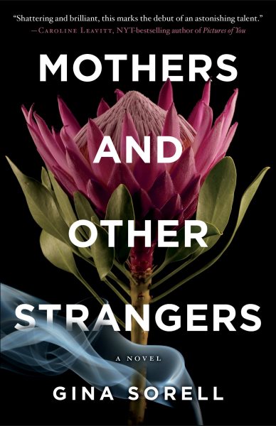 Mothers and Other Strangers cover