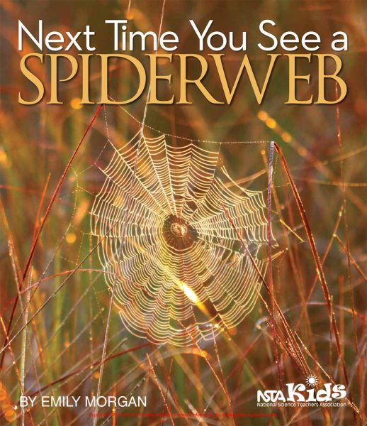 Next Time You See a Spiderweb cover