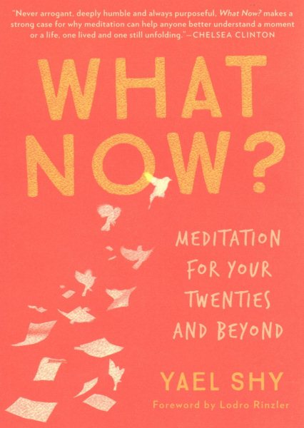 What Now?: Meditation for Your Twenties and Beyond cover