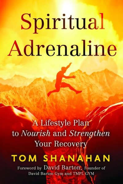 Spiritual Adrenaline: A Lifestyle Plan to Nourish and Strengthen Your Recovery cover