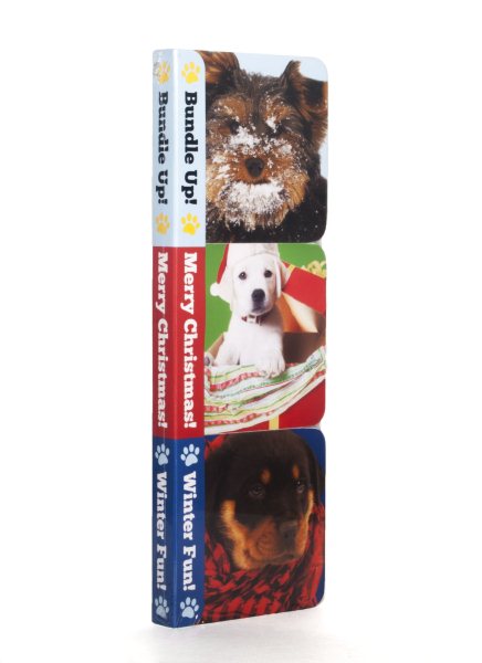 Winter Puppies Boxy Book Set