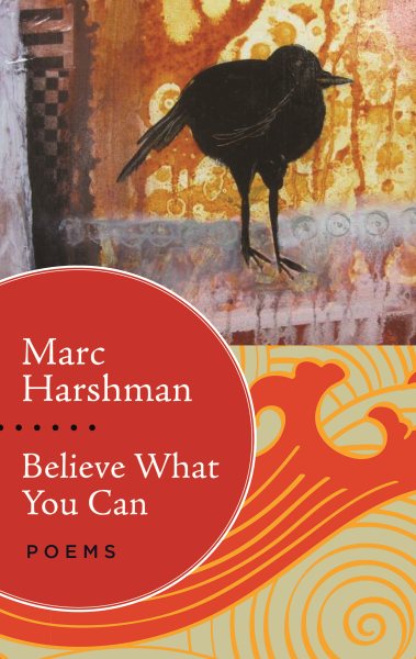 Believe What You Can: Poems cover