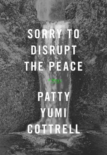 Sorry to Disrupt the Peace: A Novel cover