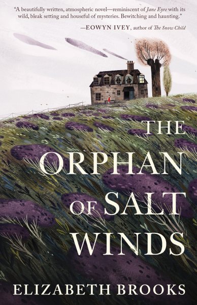 The Orphan of Salt Winds cover