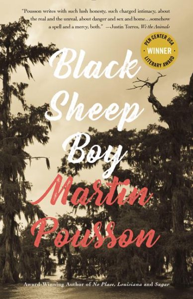Black Sheep Boy: A Novel in Stories cover