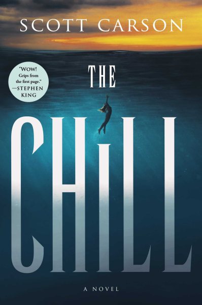 The Chill: A Novel cover