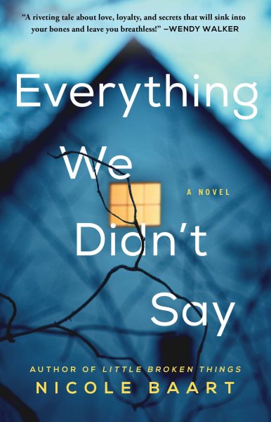 Everything We Didn't Say: A Novel cover