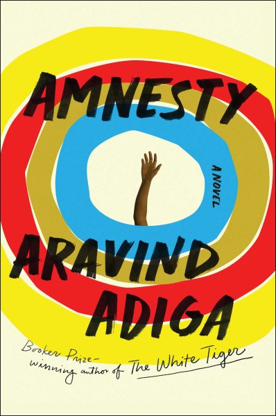 Amnesty: A Novel cover