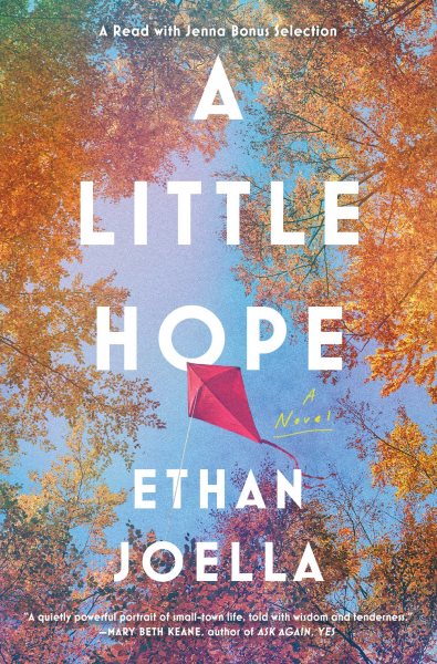 A Little Hope: A Novel cover