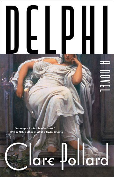 Delphi: A Novel cover