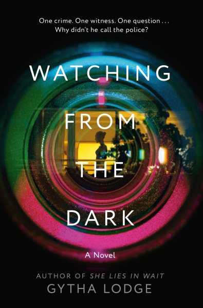 Watching from the Dark: A Novel cover
