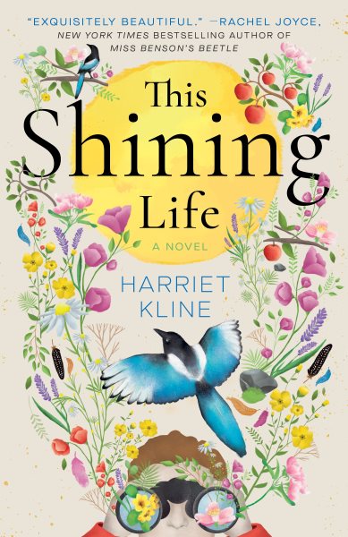 This Shining Life: A Novel cover